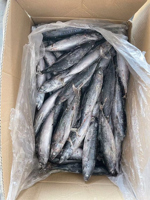 2026-01-09141439883 2026-01-09141439883