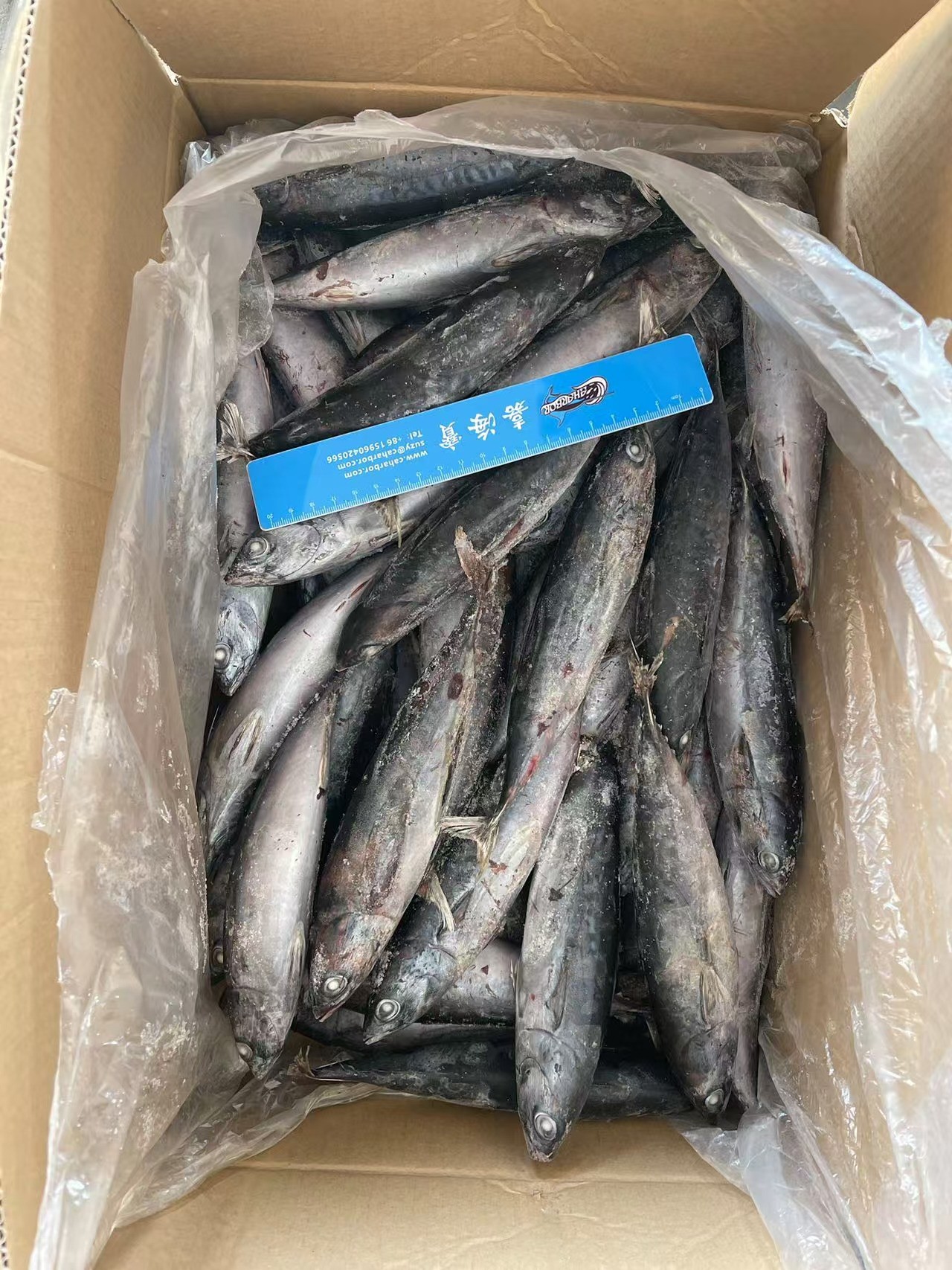 2026-01-09141443626 2026-01-09141443626