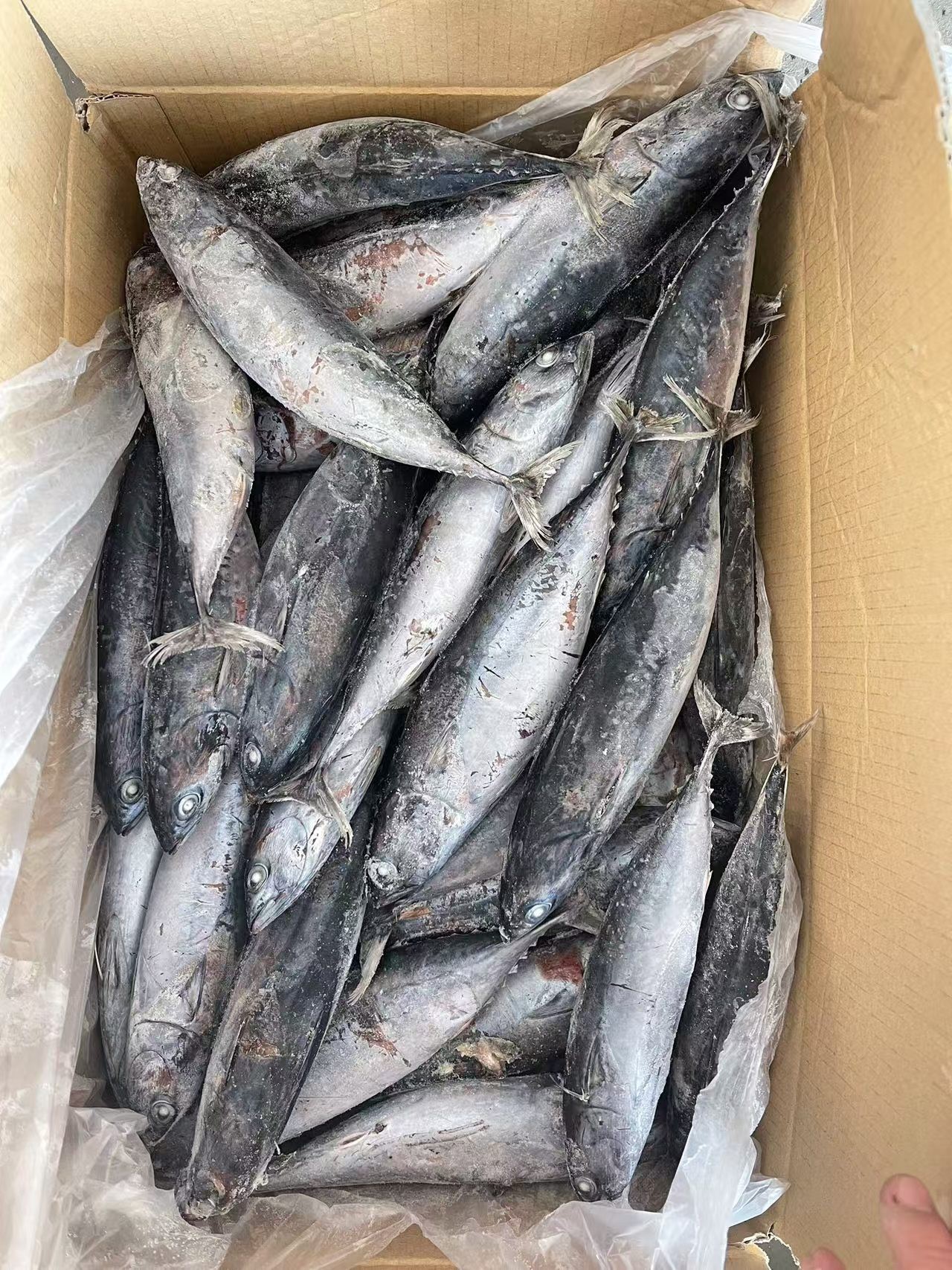 2026-01-09141457426 2026-01-09141457426