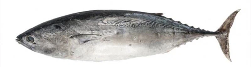 product-1-1 image003