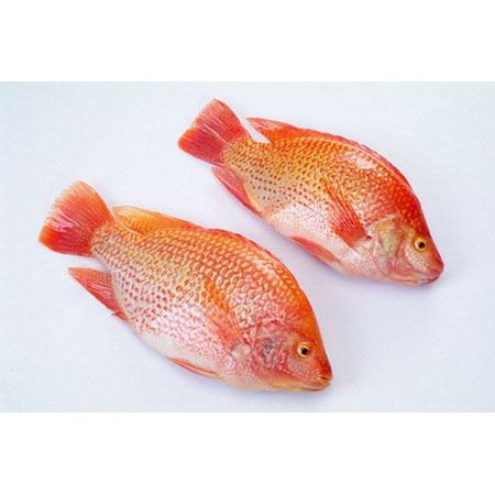 product-1-1 59c341139150c39117fd03dce819519c_b