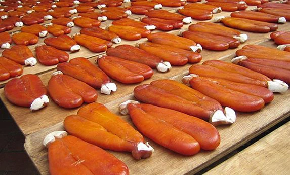 20220425165654 20220425165654