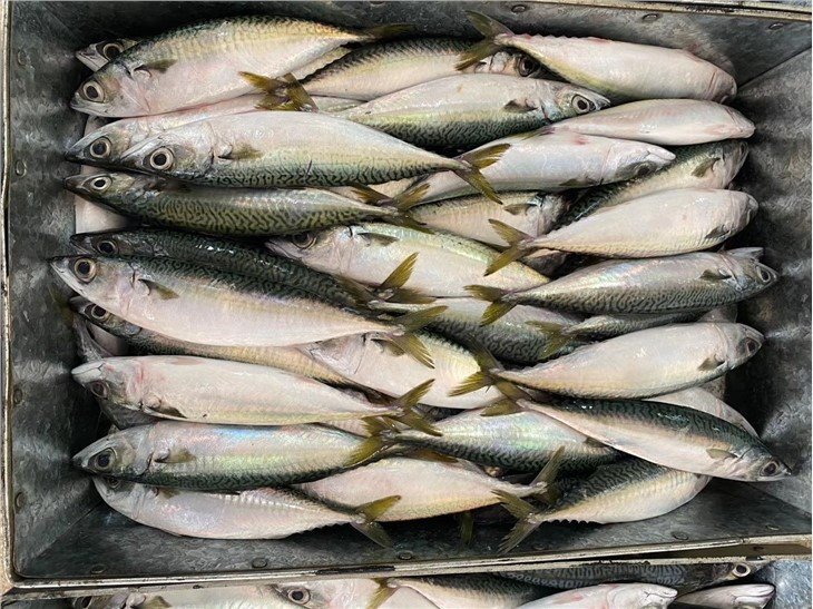 01-4