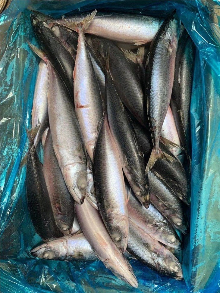 01-5