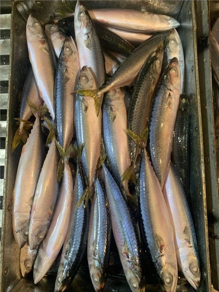 01-3