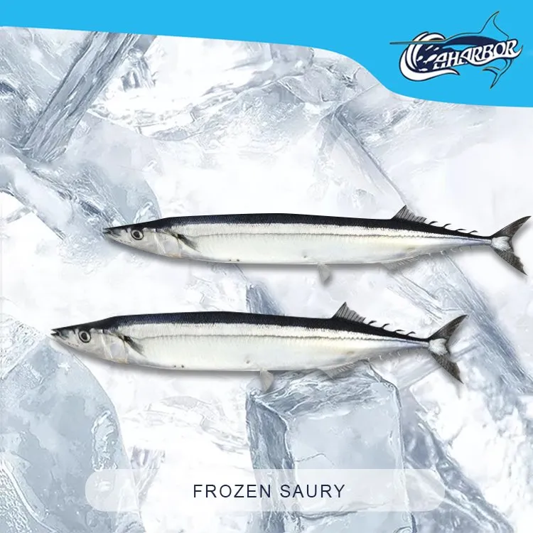 Frozen Sanma Fish