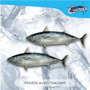 Red Pomfret (500-800g) Chinese Supplier