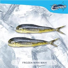 Frozen Mahi Mahi