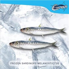 Grade a Sardine Frozen Genus Sardinops for Bluefin Tun Fish