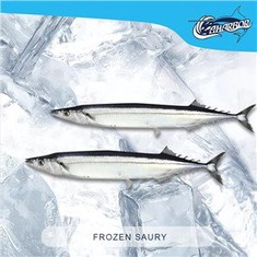 Frozen Saury