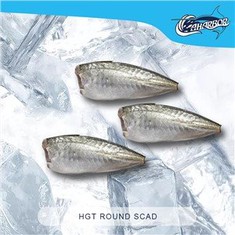 HGT Round Scad