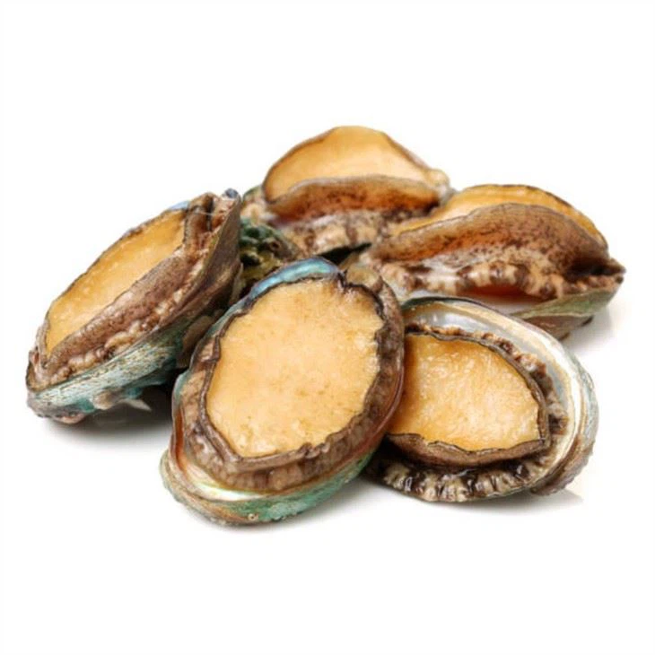 China Factory Frozen Abalone With Good Quality