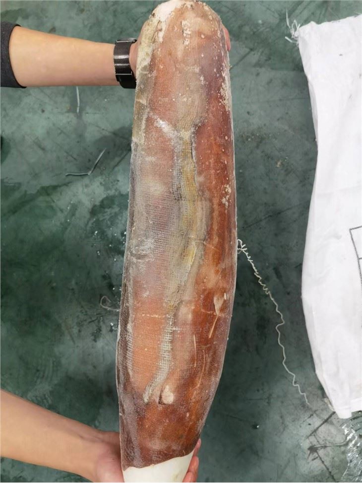 Frozen Giant Squid Fillet Raw Material