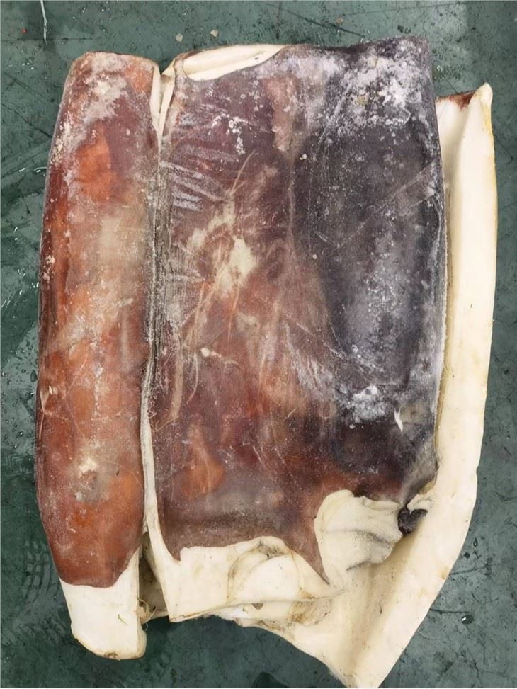 Frozen Giant Squid Fillet Raw Material