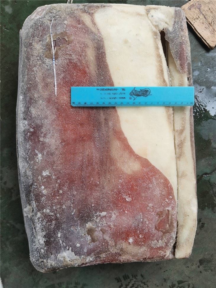 Frozen Squid Fillet skin on