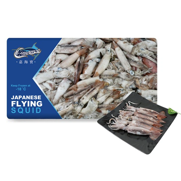 Frozen Jumbo Flying Squid