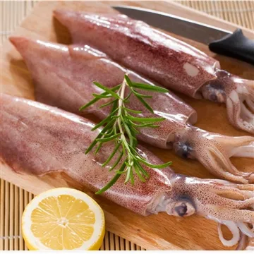 Squid Prices Reached High Levels