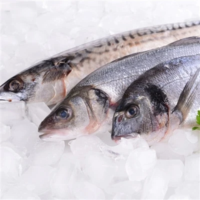 Adopt Multiple Measures To Ensure The Supply Of Aquatic Products