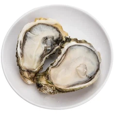 Frozen Ostreidae