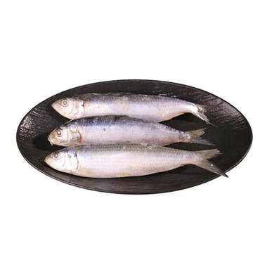 Frozen Sardinella Longiceps