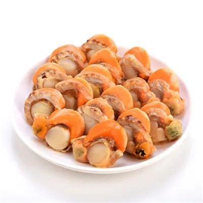 Frozen Scallop Meat