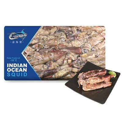 Sea Frozen Indian Squid