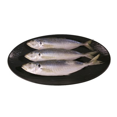 Small Eye Round Scasd