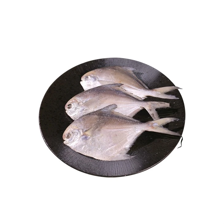 White Pompano