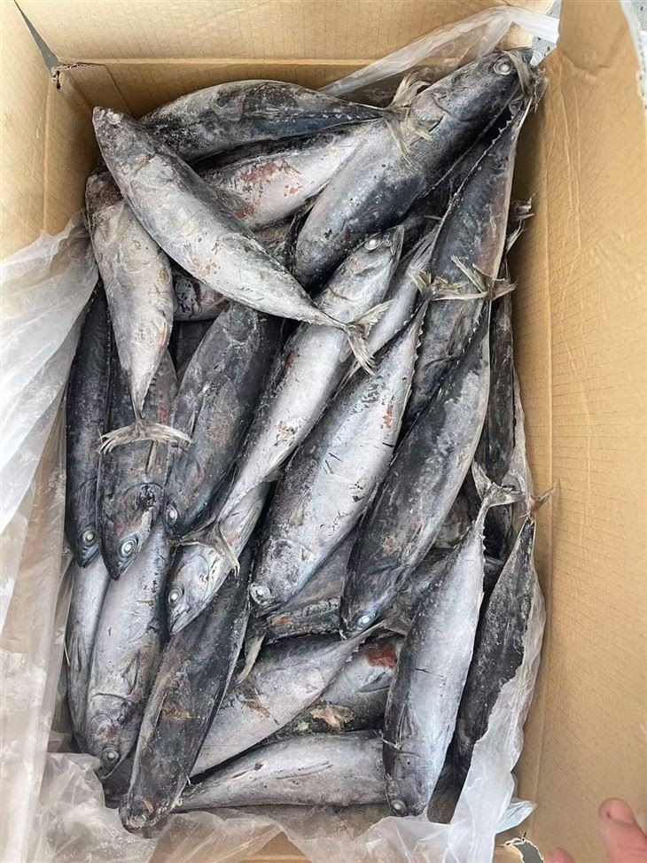 _2026-01-09_141457_426_