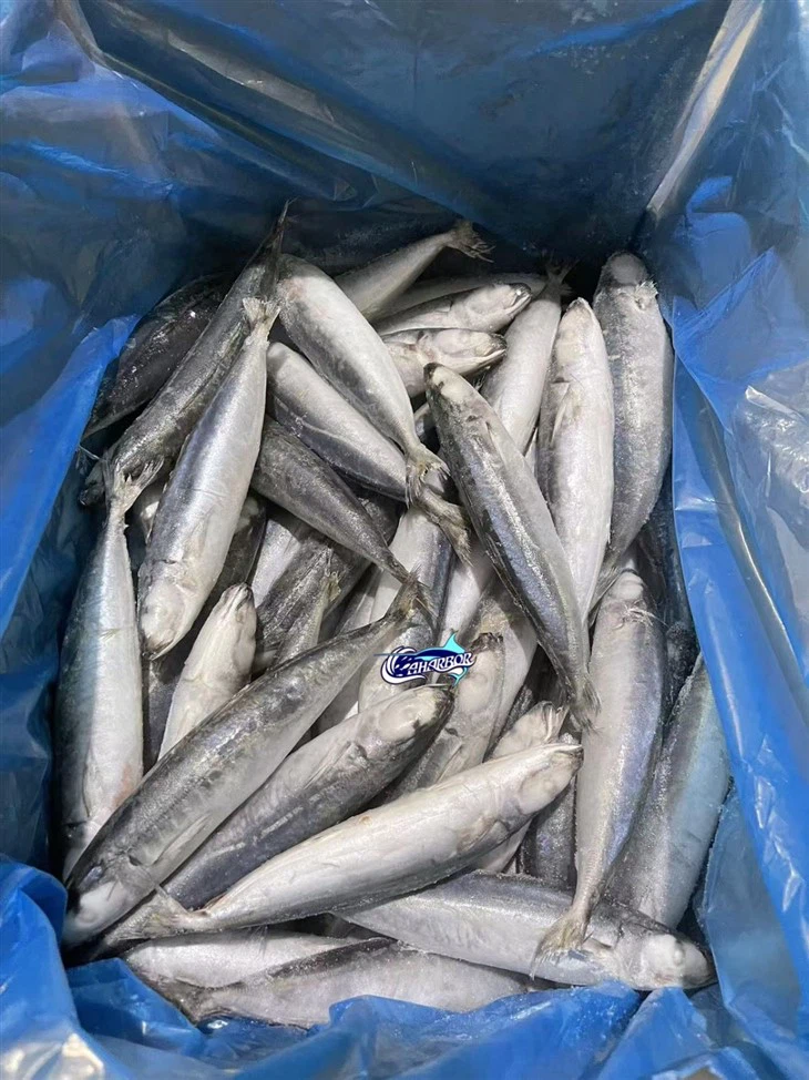 Frozen Decapterus Scad suppliers