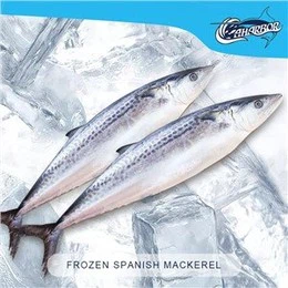 Frozen King Fish Factory