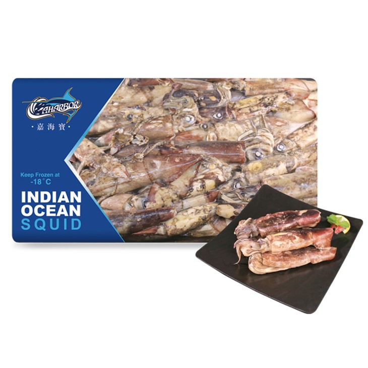 Frozen Raw Indian Ocean Squid