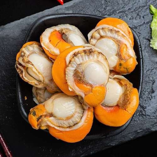 Frozen Sea Scallop Meat