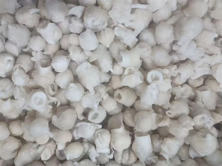 Frozen Squid Mouth Meat