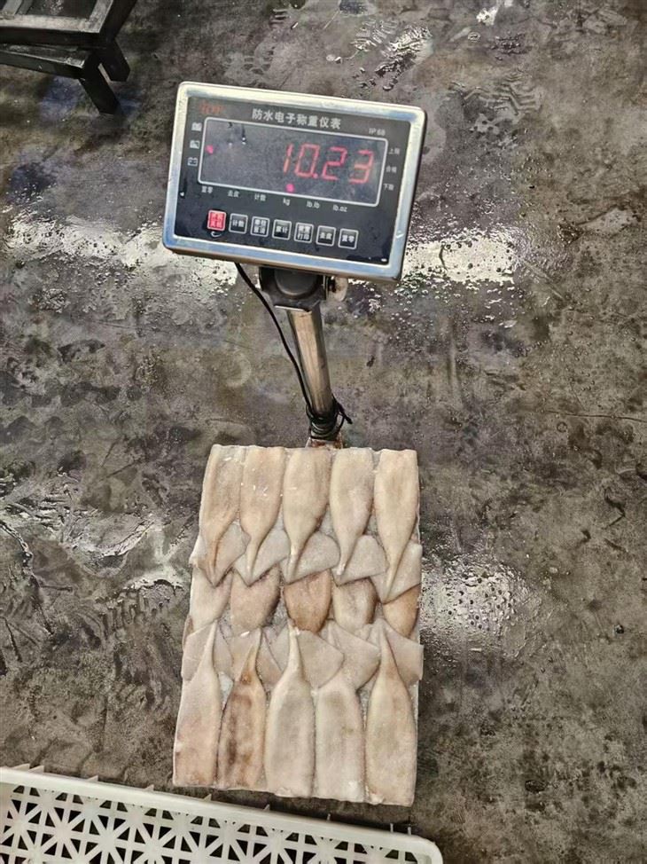 Frozen Squid Tube For Argentina Illex high quality