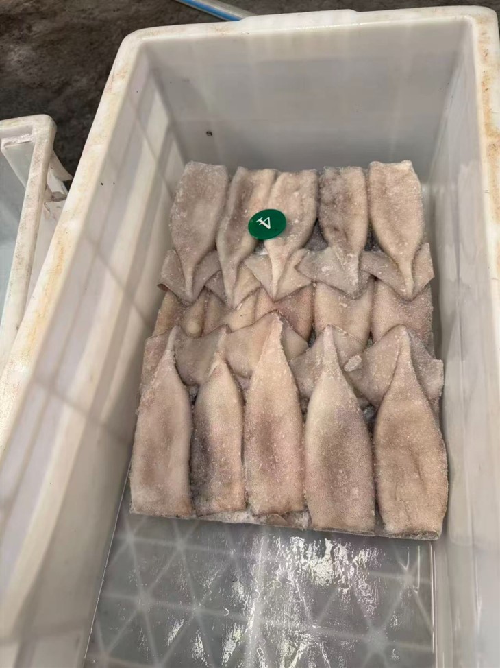 Frozen Squid Tube For Argentina Illex suppliers