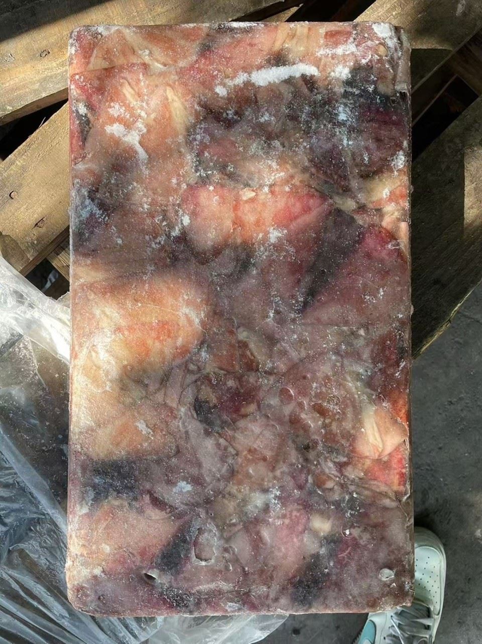 Frozen Squid Wings Skin-on