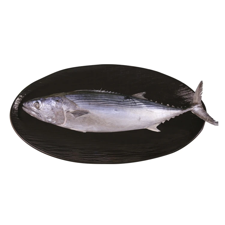 Frozen Striped Bonito Factory