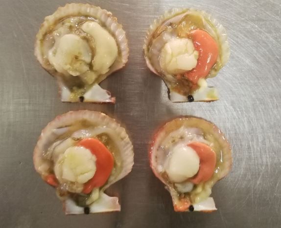 Half Shell Farreri Scallop