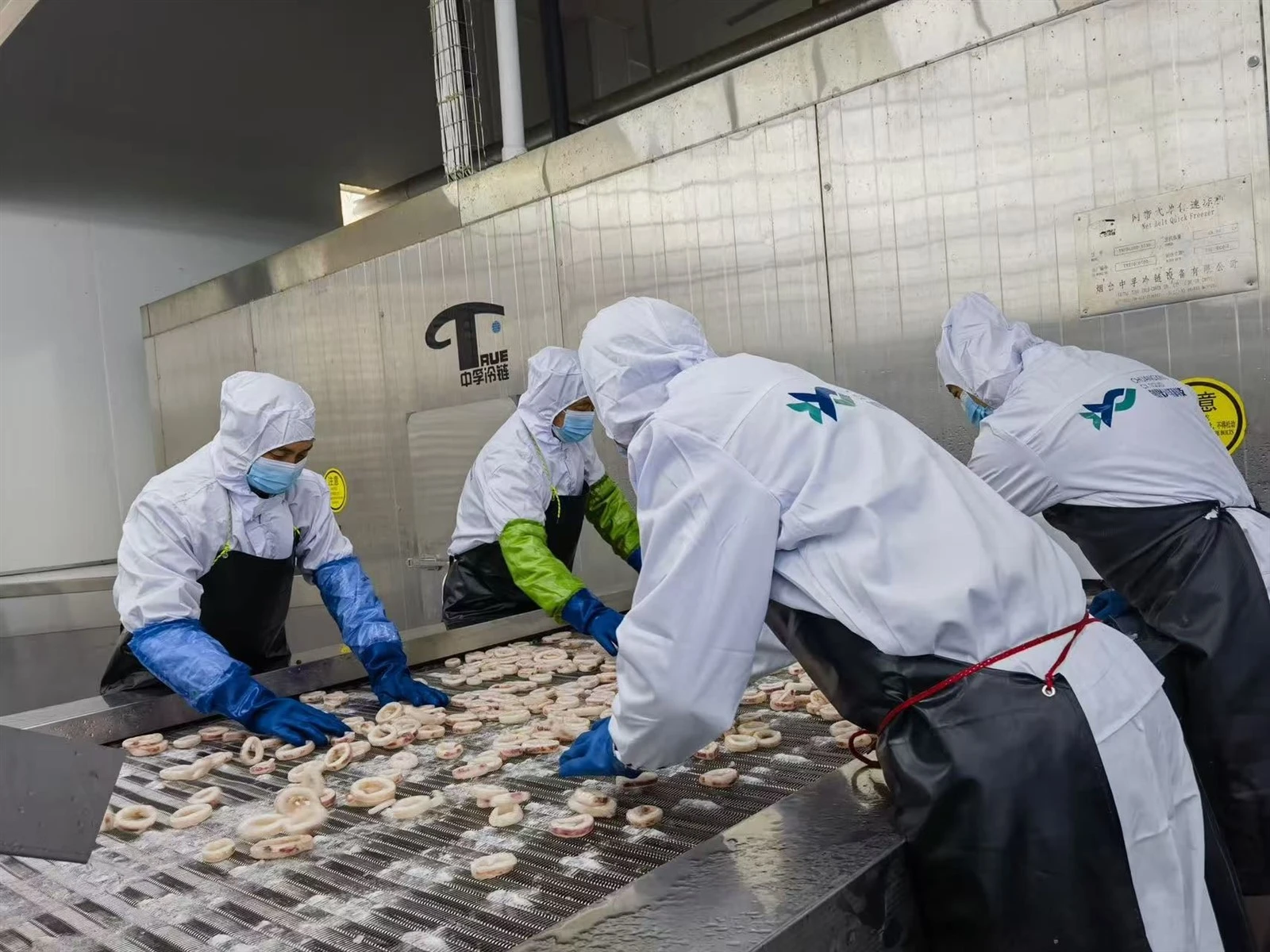 Squid factory Squid factory