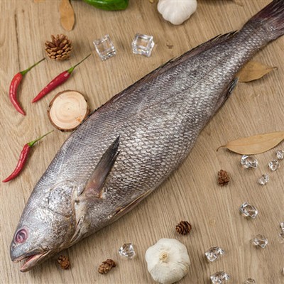 Nutritional value of croaker