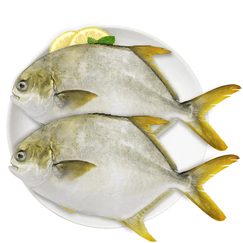 Is Golden Pomfret Delicious?