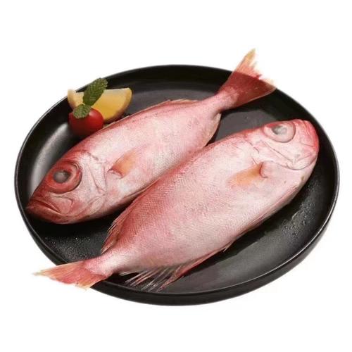 The Benefits and Effects of Red-eyed Carp