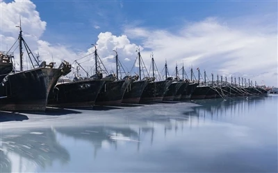 China's Annual Fishing Moratorium Set To Begin