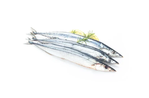 Japanese Saury Fleet Abandons Operations in Russian Waters, Missing Out For T...