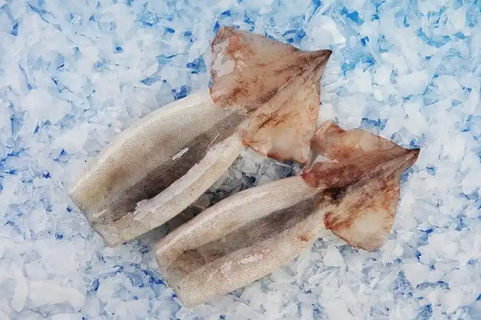 u13499108561544388050fm253fmtautoapp138fJPEGwebp u13499108561544388050fm253fmtautoapp138fJPEGwebp