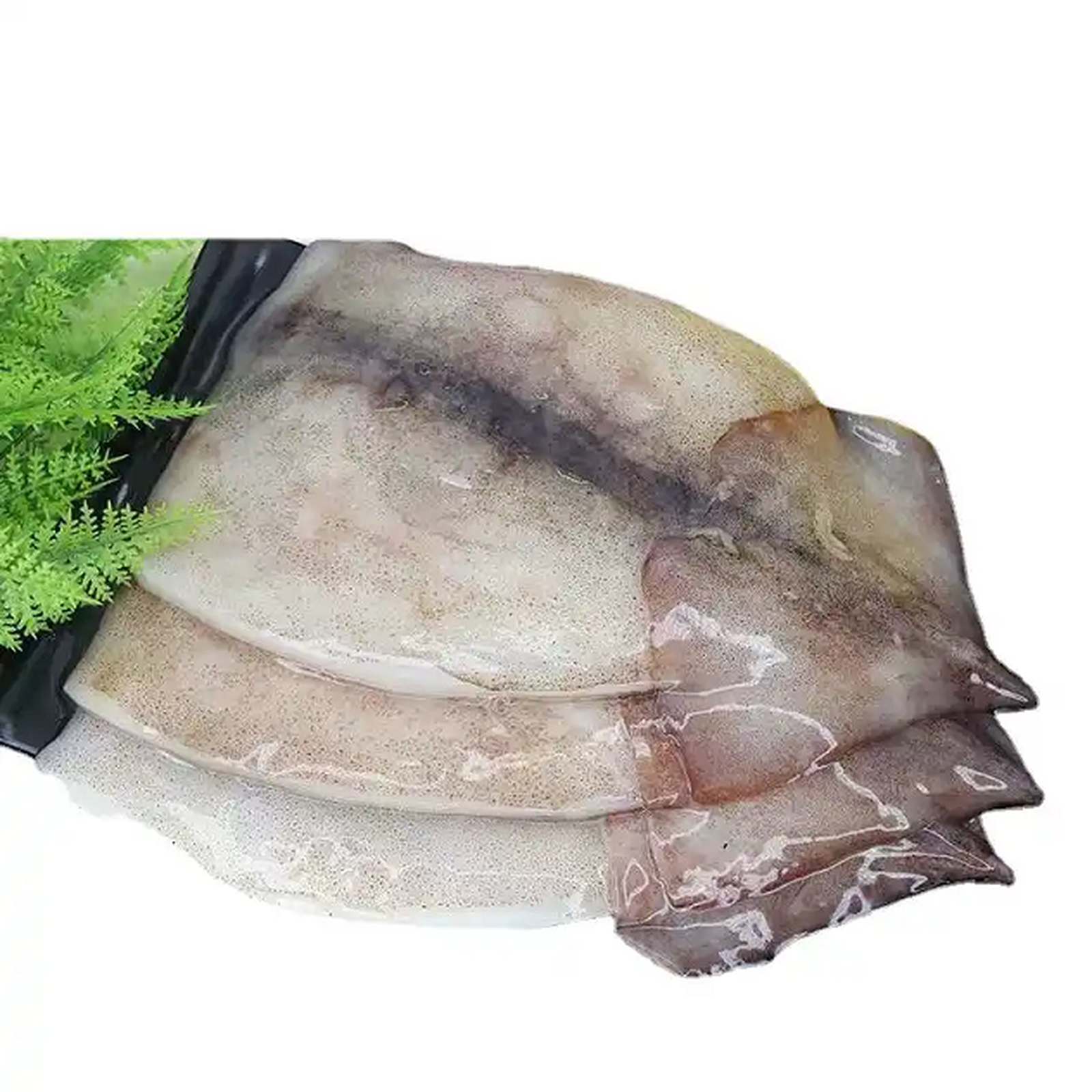 srchttpcbu01alicdncomimgibankO1CN01asq5Df1Bs2j8eThDT0-0-cibjpgreferhttpcbu01alicdnwebp srchttpcbu01alicdncomimgibankO1CN01asq5Df1Bs2j8eThDT0-0-cibjpgreferhttpcbu01alicdnwebp