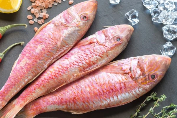 red-mullet red-mullet