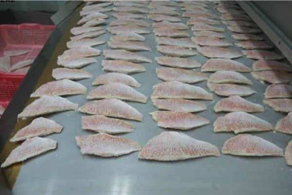 FishwayProduct63653616475064Full62463723 FishwayProduct63653616475064Full62463723