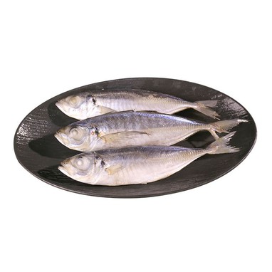 horse mackerel horse mackerel